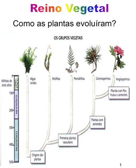 Considere Os Seguintes Fatos Relacionados Com A Evolução Das Espécies