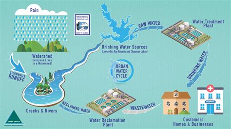 Urban Water Cycle Infographic Argyle Water Supply Corporation