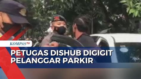 Momen Petugas Dishub Digigit Pelanggar Lalin Yang Parkir Di Jalur