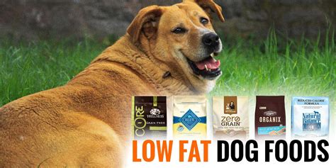 This recipe may be altered and isn't set in stone. Low Fat Dog Food — Guide & Reviews of 5 Best Weight Control Foods