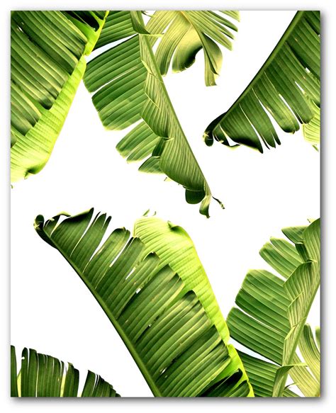 Banana Leaf Print Abstract Tropical Leaf Summer Art Etsy