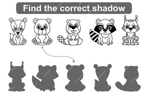 Premium Vector Find Correct Shadow Kids Educational Game Set Of