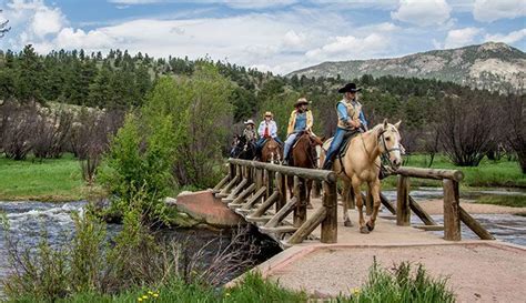 Horseback Riding On The Fern Lake Trail In Rocky Mountain National Park
