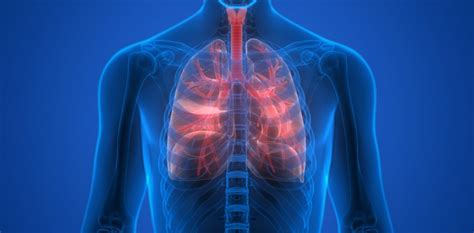 Cystic fibrosis (cf) is a genetic disorder that affects mostly the lungs, but also the pancreas, liver, kidneys, and intestine. causas da fibrose cistica - Cura Natural