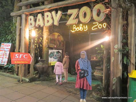 Menikmati Safari Malam Di Taman Safari Indonesia Cahaya Theprinces