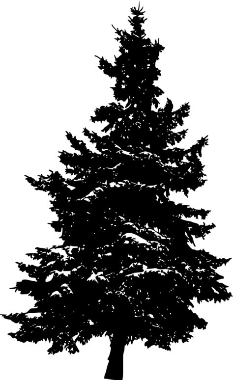 Use this christmas tree silhouette svg for crafts or your graphic desi. 10 Pine Tree Silhouette (PNG Transparent) Vol. 3 | OnlyGFX.com