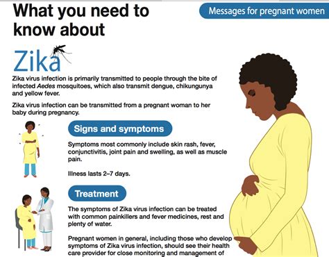 Zika Virus During Pregnancy Brain Mri In Infants After Maternal Zika