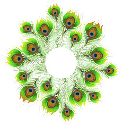 | view 30 peacock illustration, images and graphics from +50,000 possibilities. Clipart frames feather, Clipart frames feather Transparent ...