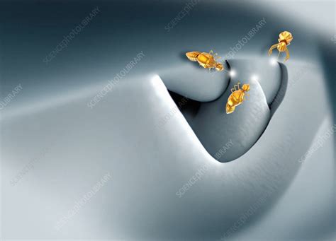 Nanorobots Repairing Tooth Decay And Cavities Illustration Stock