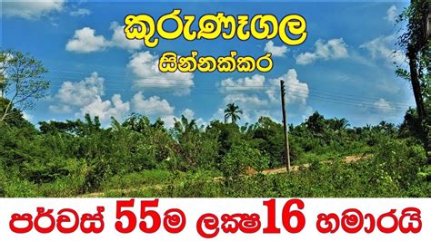 Property Sale In Kurunegala House For Sale In Sri Lanka House And