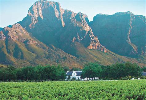 Visit The Main Wine Producing Areas Of South Africa Winelands