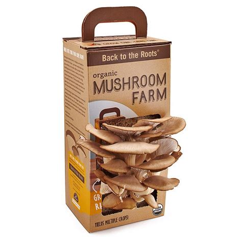 Mushroom Kit Oyster Mushroom Garden Grow Box Uncommongoods