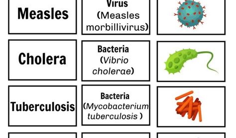 Pathogen What Is It Viral Pathogens Bacterial Pathogens And