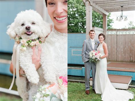 7 Floral Dog Collar Wedding Maison Meredith Photography Blog