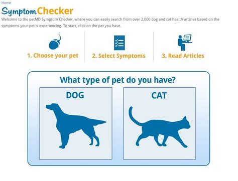 Use the symptom checker to find out what's causing your symptom. Best Dog Illness Symptom Checker Online (With images ...