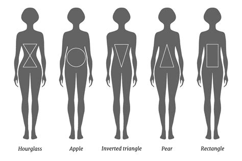 دليلك الكامل حول معرفة شكل الجسم بالقياس احمد عبدالمقص