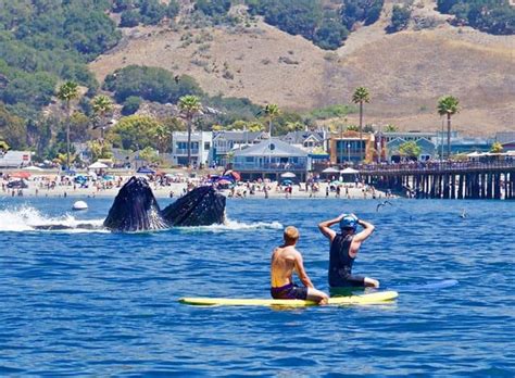 Avila Beach Marine - Avila Beach, CA
