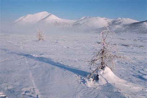 Northern Siberia Tundra In Northern Evensk Magadan Region