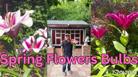 How To Plant Spring Flower Bulbs Youtube