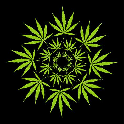 Cannabis Leaf Circle Digital Art By Thisis Notme Fine Art America