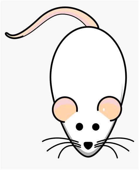 Animasi Tikus Putih Hd Png Download Transparent Png Image Pngitem