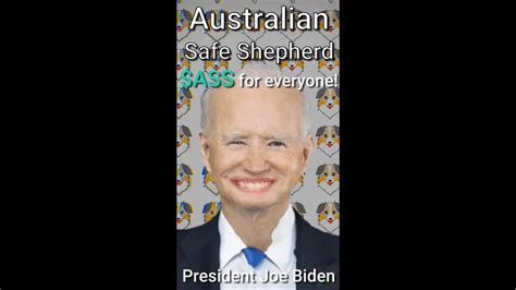 What Is Australian Safe Shepherd Ass And How Do You Buy It Youtube