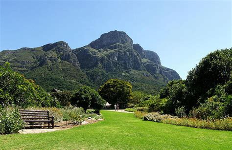 Hike To Kirstenbosch Gardens In Cape Town