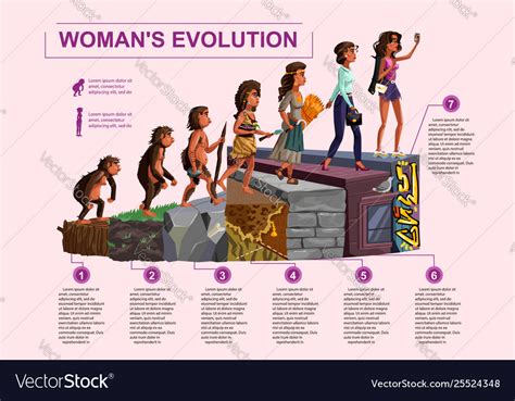 Woman Evolution Time Line Cartoon Royalty Free Vector Image