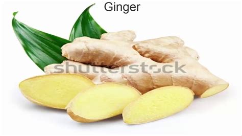 How To Grow Turmeric And Ginger Youtube