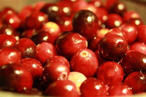 Freshly Washed Whole Cranberries Picture | Free Photograph | Photos ...