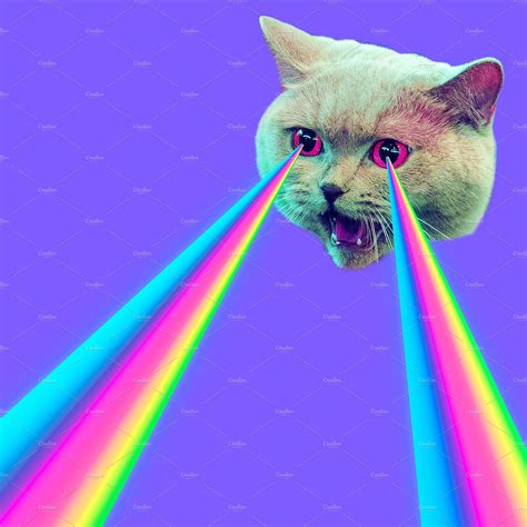 Evil Cat With Rainbow Lasers From Eyes Minimal Collage Fashion Concept Cat Laser Laser Eye