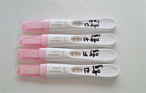 12 - 17 dpo FRER with brown spotting this morning (17 dpo). Light