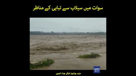 سوات میں سیلاب سے تباہی کے مناظر Videos Dawnnews