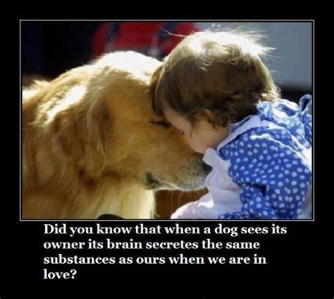Dog And Human Love Fun Paw Care