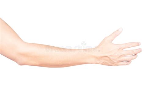 Man Arm With Blood Veins On White Background Health Care And Medical
