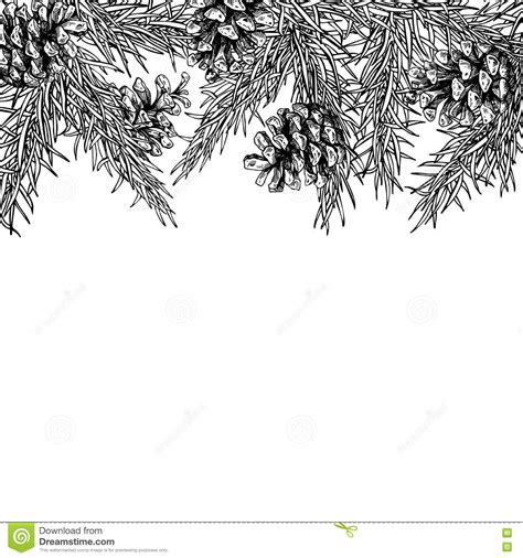Fir Tree And Pine Cone Hand Drawn Vector Square Frame For Winter Stock