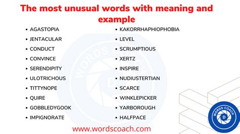 The Most Unusual Words With Meaning And Example Word Coach