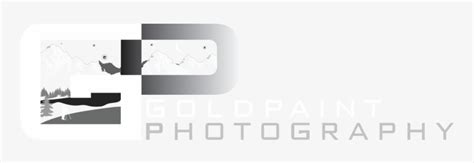 Goldpaint Photography Goldpaint Photography Gp Photography Name Logo