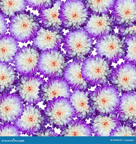 Purple Flower Texture Stock Illustration Illustration Of Petal 9459478