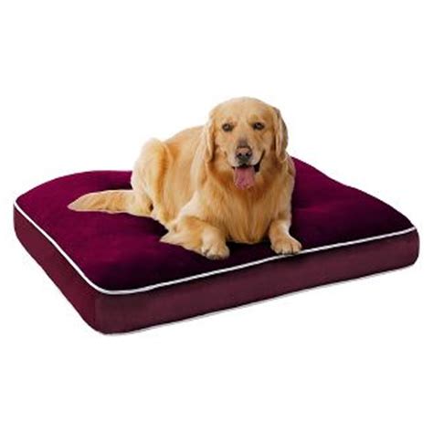 The dog bed brotector cover with zipper may not have the trendiest name, but the inside of the. Dog Beds & Blankets : Target