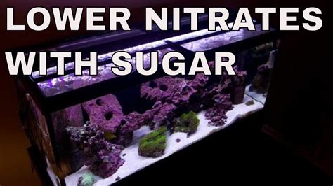 How To Lower Nitrates In Saltwater Aquarium Sugar Dosing Carbon