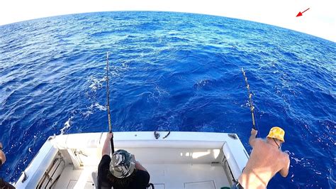Deep Sea Fishing 10000 Feet Of Water Saltwater Fishing Hawaii Youtube