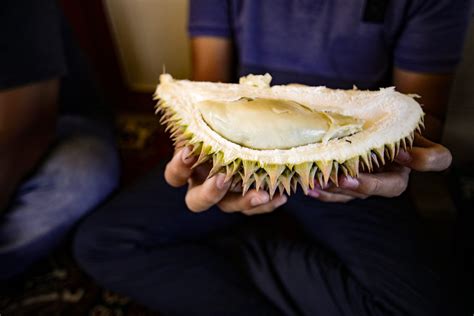 Berburu Durian Jatuh Dari Pohonnya Di Lhoong Aceh Jurnal