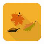 Icon Fall Thanksgiving Leaves Icons Svg Iconset