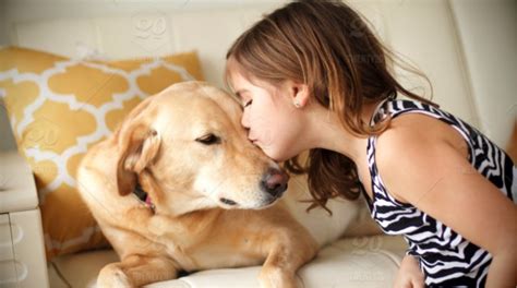 Charity Stock Photo Dog Love Labrador Puppy Girl Pet Dog Lover Kisses