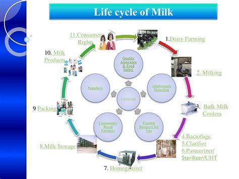 Ppt 1 Dairy Farming Powerpoint Presentation Free Download Id1943280