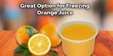 How To Freeze Fresh Orange Juice Described In 08 Steps