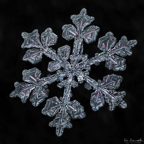 Gallery Of 100s Of The Best Snowflake Images Sky Crystals Snowflake