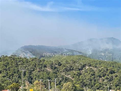 Η φωτιά που ξεκίνησε το βράδυ της τετάρτης από το σχιστό λουτρακίου επεκτάθηκε με κατεύθυνση προς τα μέγαρα. Προληπτική εκκένωση σπιτιών στο Αλεποχώρι - Σε ύφεση η ...