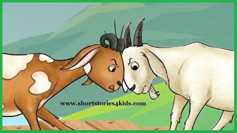Two Goats Short Story For Kids Short Story